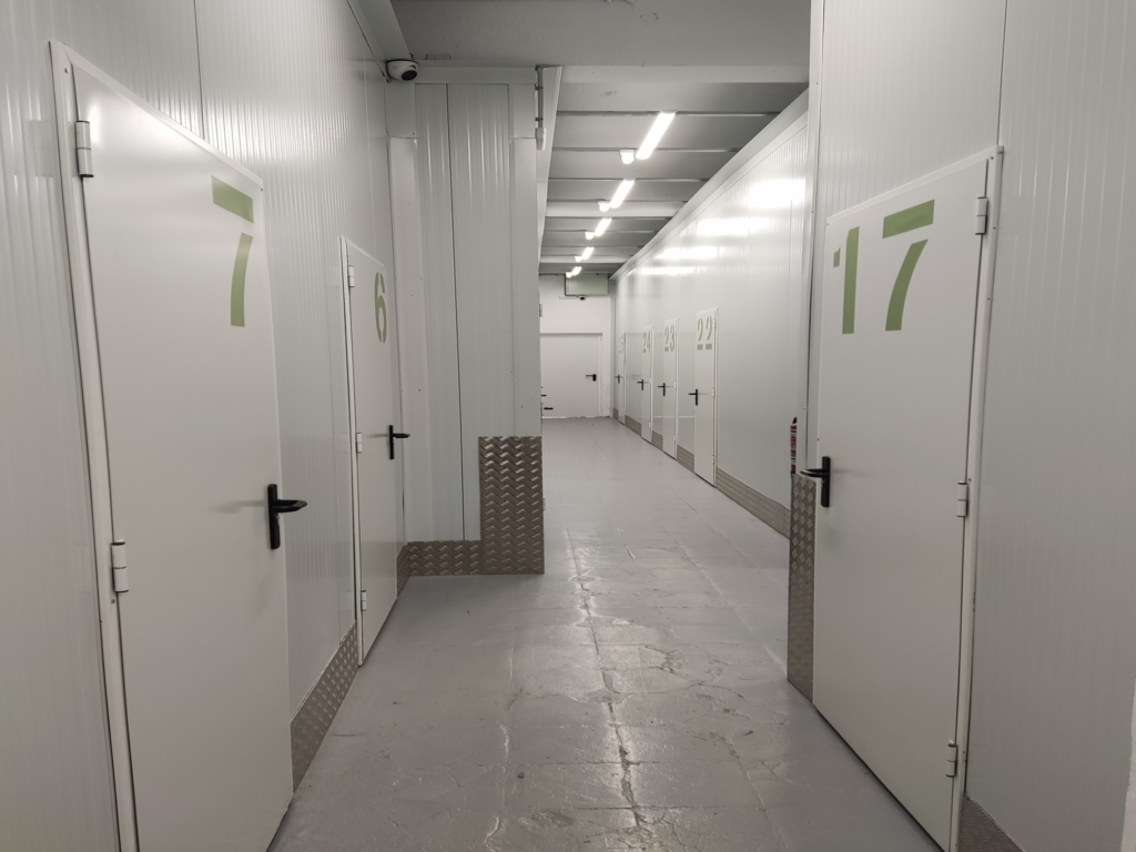 2. Foto Pérez Galdós