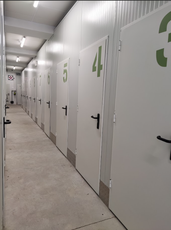 Captura de pantalla 2025-03-03 145701