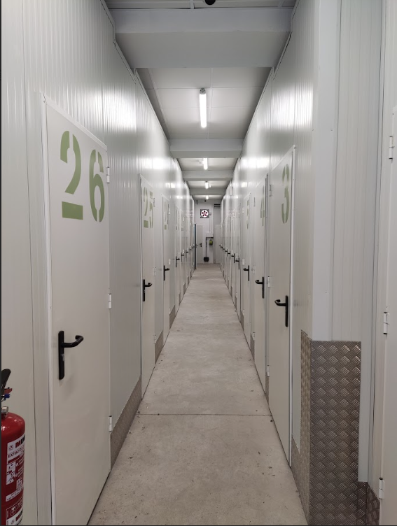 Captura de pantalla 2025-03-03 145711