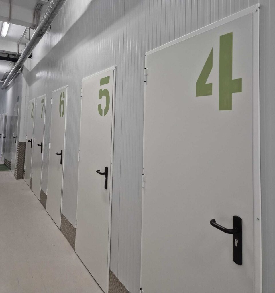 WhatsApp Image 2024-10-25 at 4.56.17 PM (2)