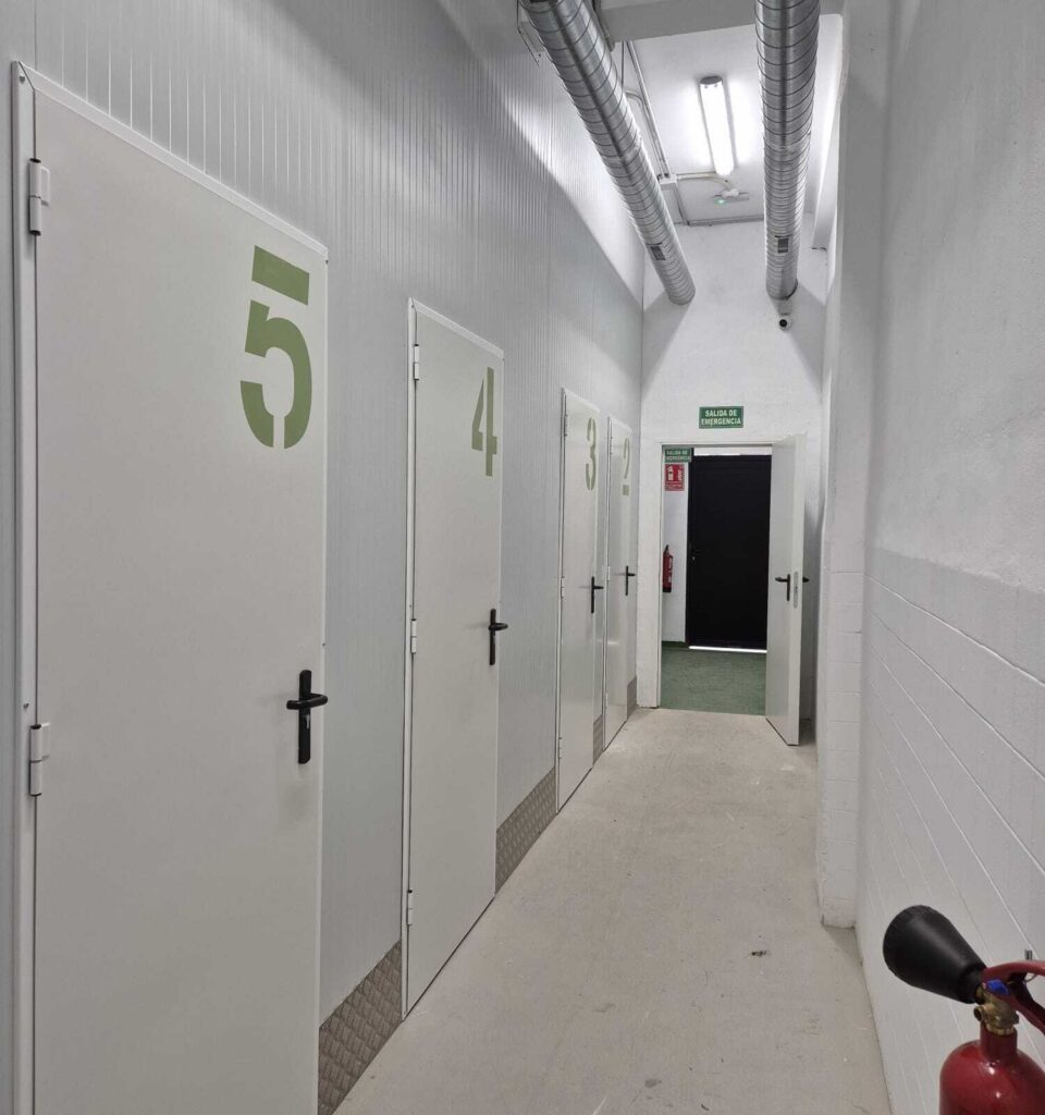 WhatsApp Image 2024-10-25 at 4.56.17 PM (3) (1)