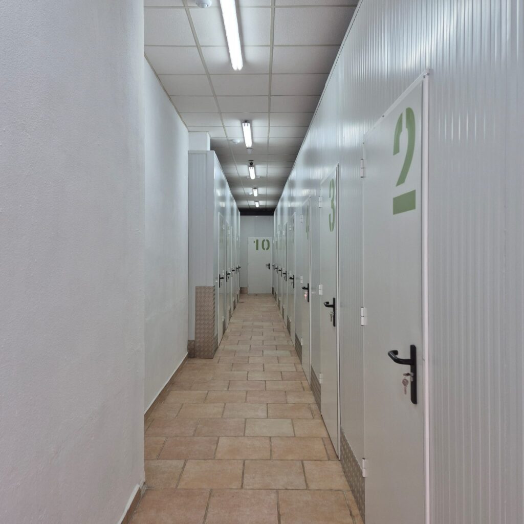 WhatsApp Image 2025-10-06 at 3.52.04 PM (1)