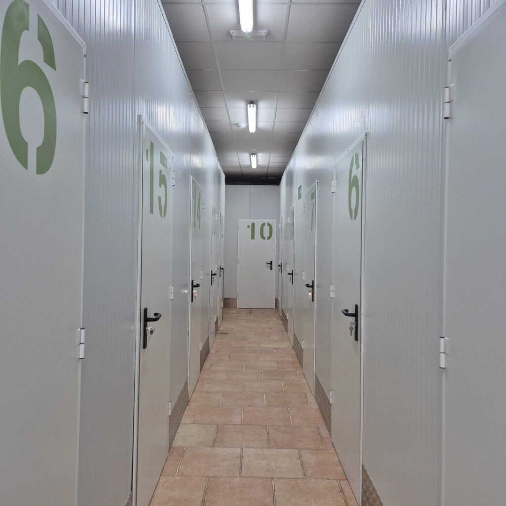 WhatsApp Image 2025-10-06 at 3.52.05 PM