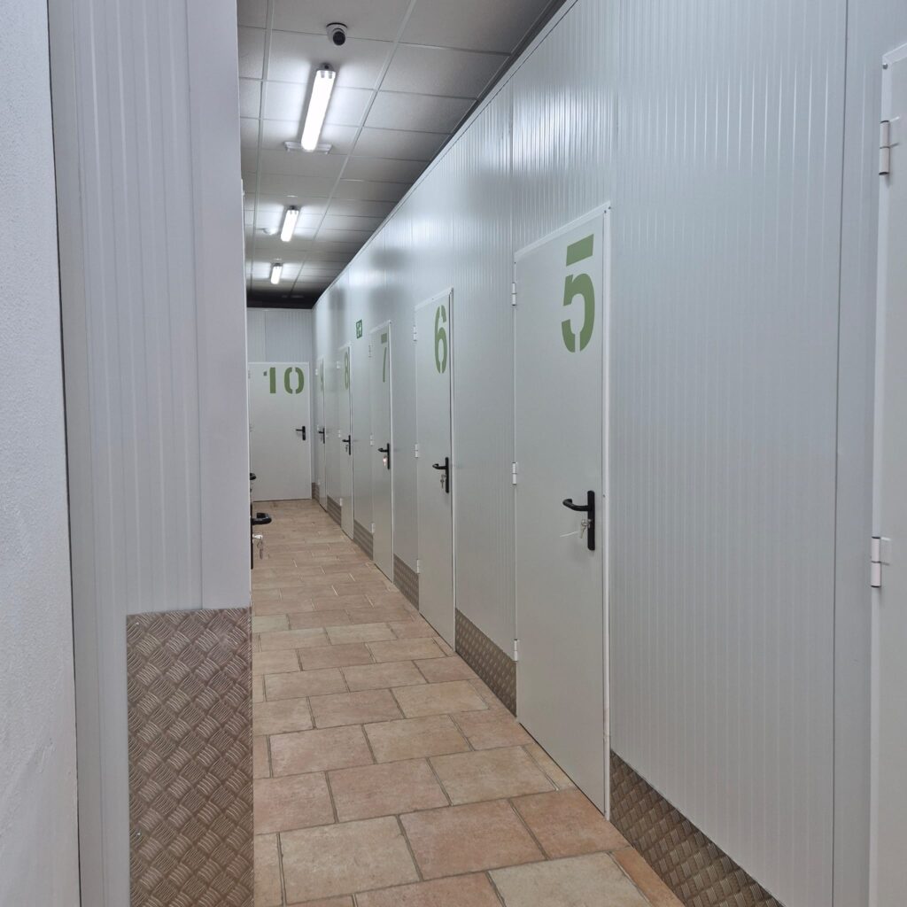 WhatsApp Image 2025-10-06 at 3.52.07 PM