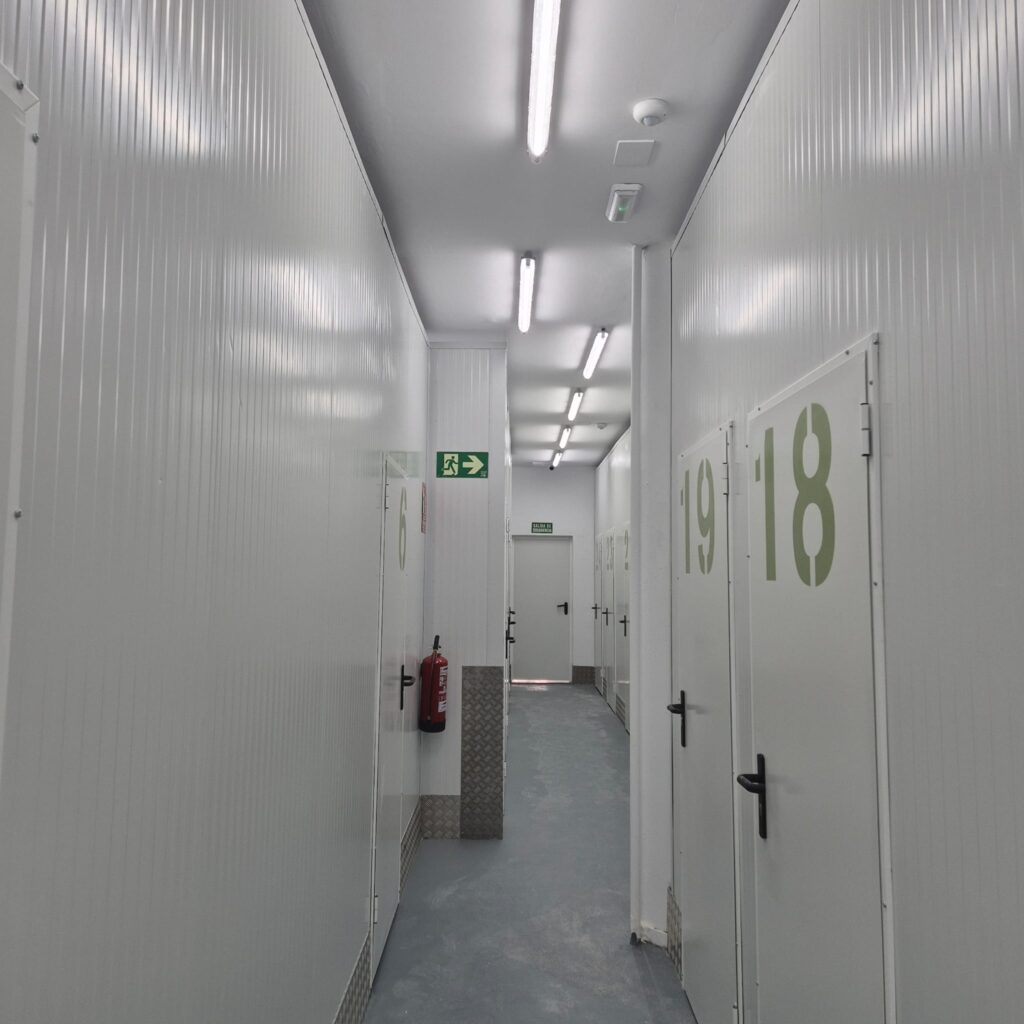 WhatsApp Image 2025-10-08 at 5.22.24 PM (4)